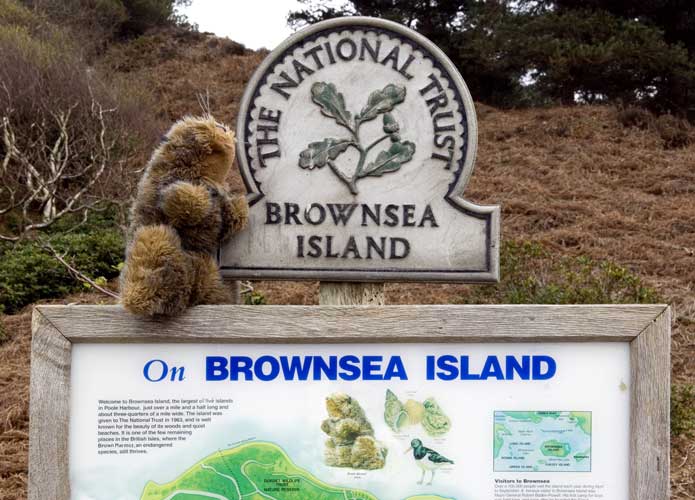 Marmite arrives at Pottery Pier and learns that Brownsea Island is the home of the Red Squirrel, a distant relation.